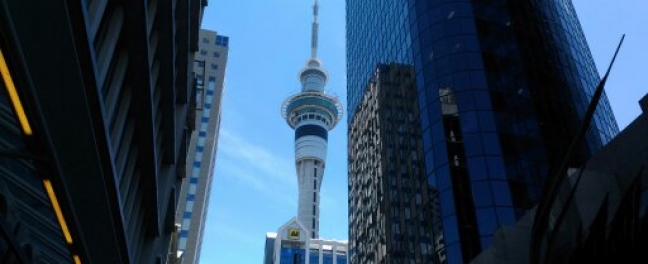 Виза для работы и путешествий Working Holiday Visas New Zealand